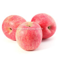 /msite/products/detail/productid/56298364/id/542688.html